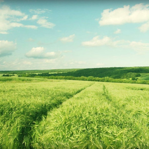 大鸡巴操骚逼淫语对白视频
