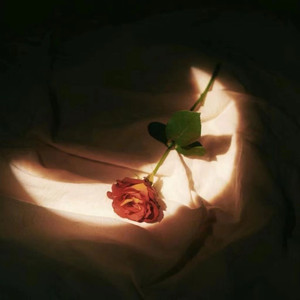 大鸡巴操骚逼淫语对白视频
